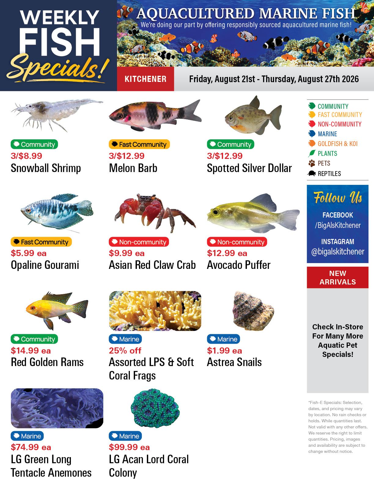 Big Al's (Kitchener) Weekly Specials August 21 to 27