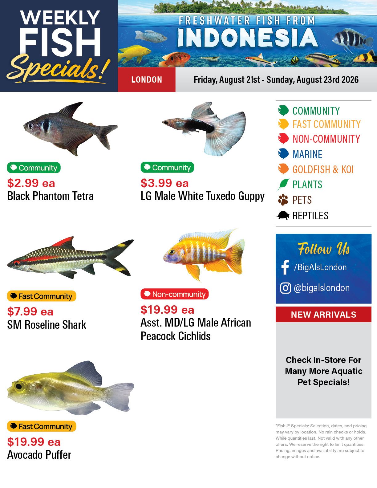 Big Al's (London) Weekend Specials August 21 to 23