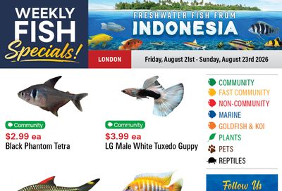 Big Al's (London) Weekend Specials August 21 to 23