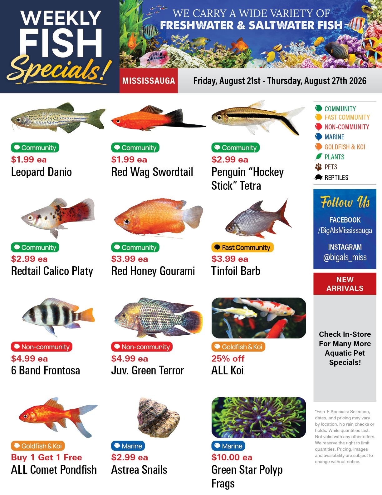 Big Al's (Mississauga) Weekly Specials August 21 to 27