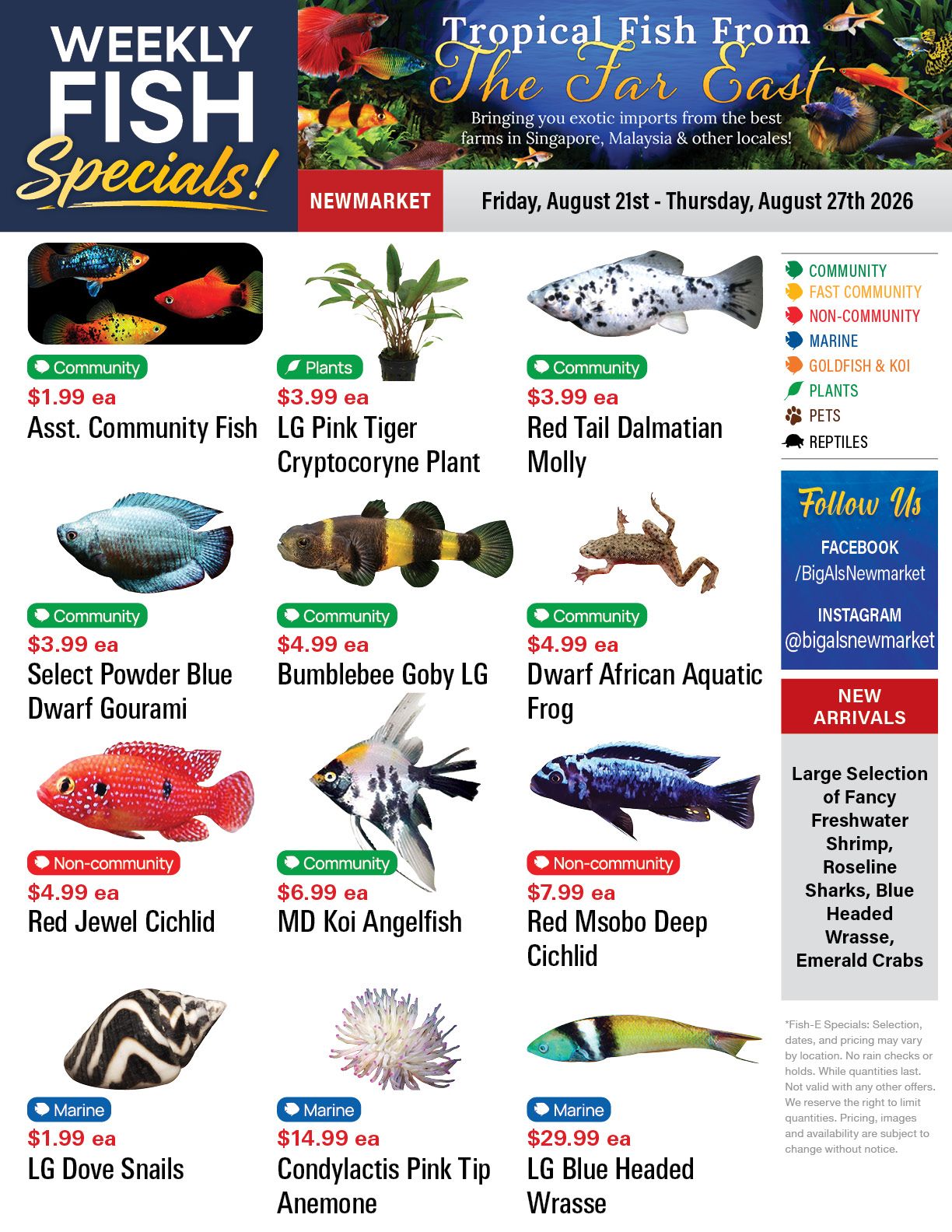 Big Al's (Newmarket) Weekly Specials August 21 to 27