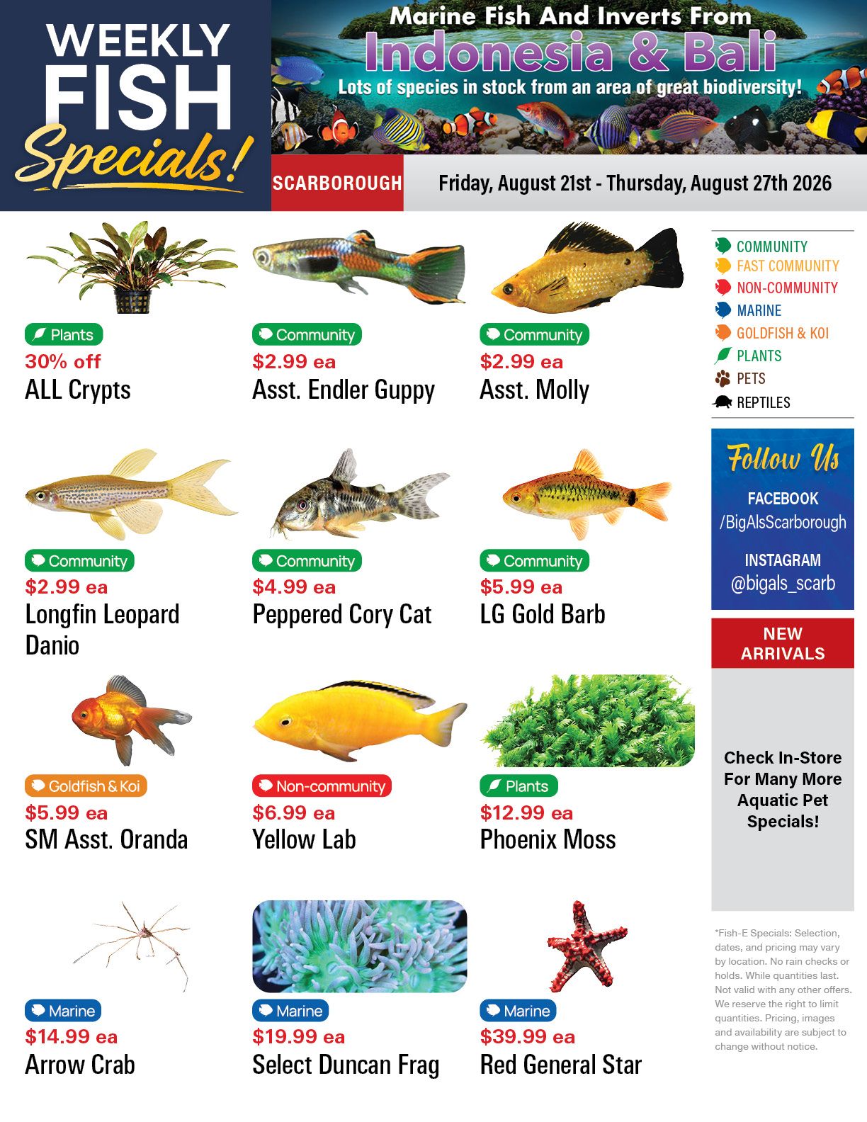 Big Al's (Scarborough) Weekly Specials August 21 to 27
