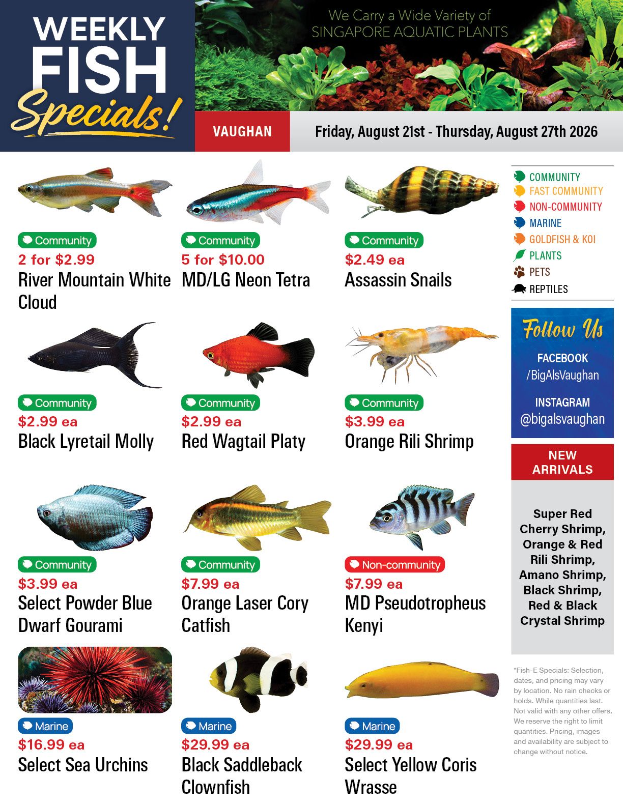 Big Al's (Vaughan) Weekly Specials August 21 to 27