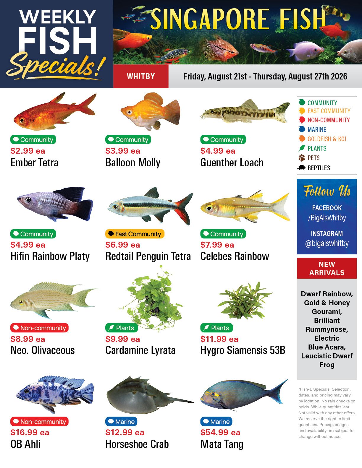 Big Al's (Whitby) Weekly Specials August 21 to 27
