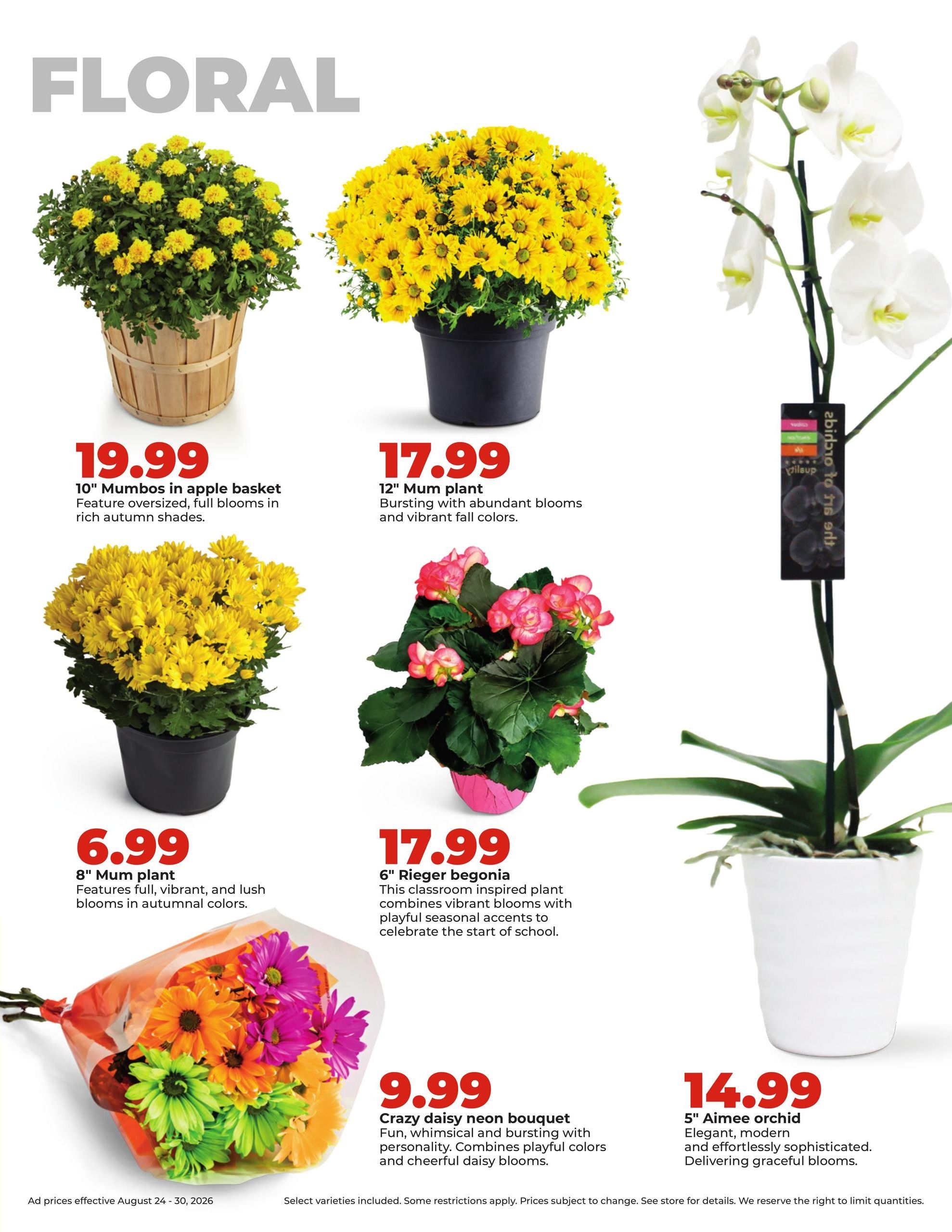 Hy-Vee (West Point Area, NE) Weekly Ad August 24 - 30, 2026