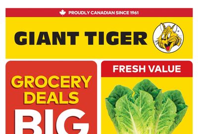 Giant Tiger (ON) Flyer August 26 to September 1
