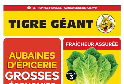 Tigre Géant Flyer August 26 to September 1