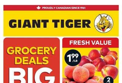 Giant Tiger (West) Flyer August 26 to September 1