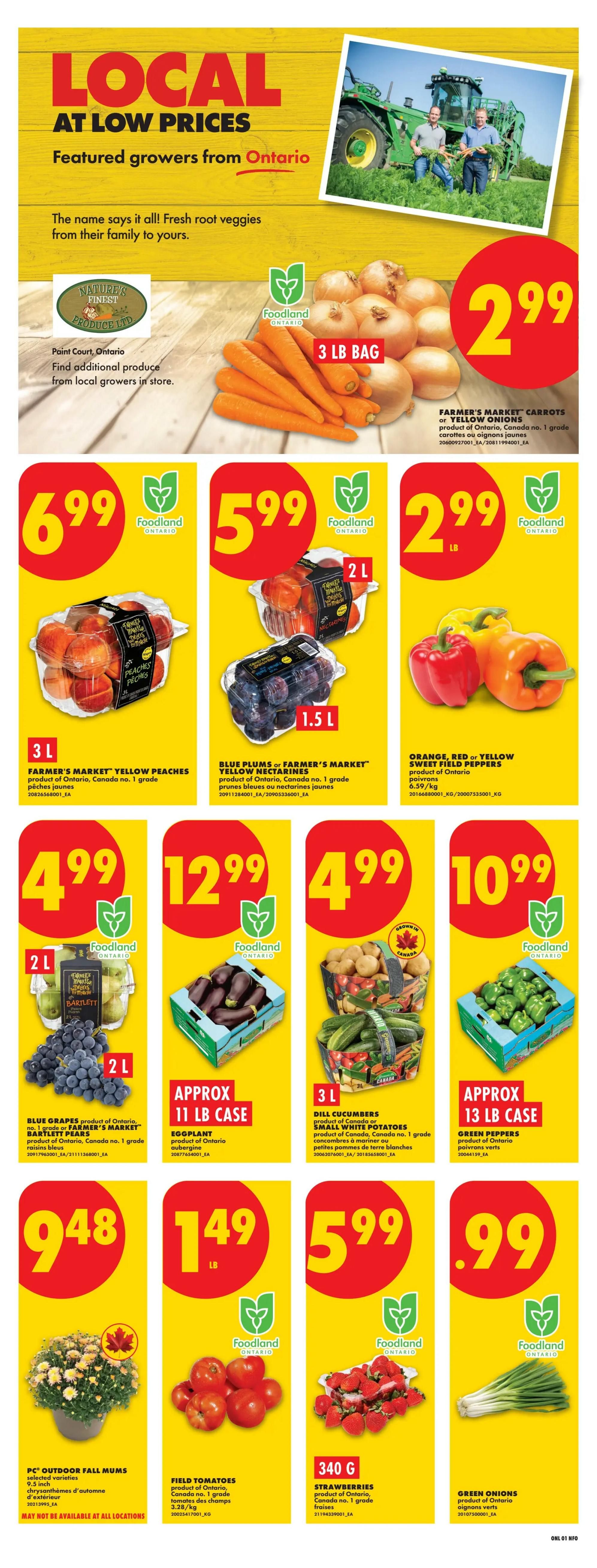 No Frills (GTA) Flyer August 27 to September 2