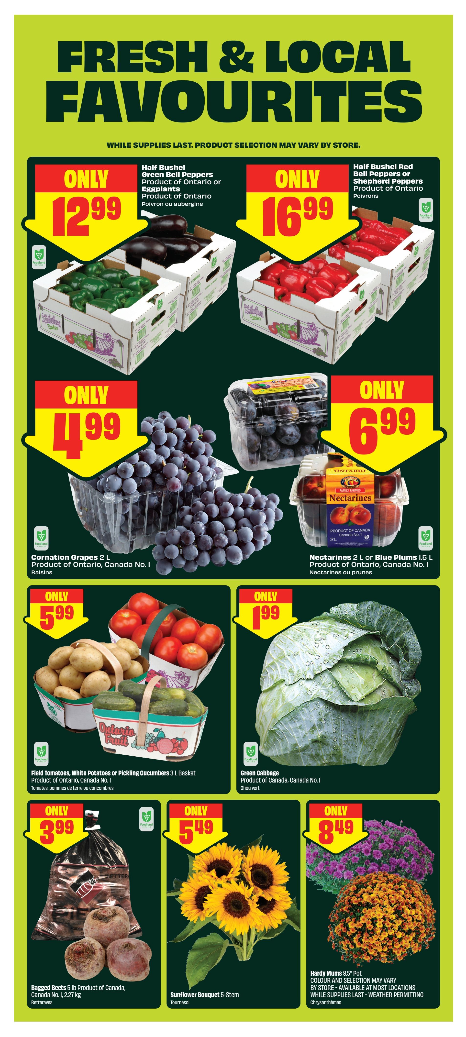 Chalo! FreshCo (ON) Flyer August 27 to September 2
