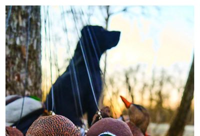 Bass Pro Shops Waterfowl Catalogue August 27 to September 23