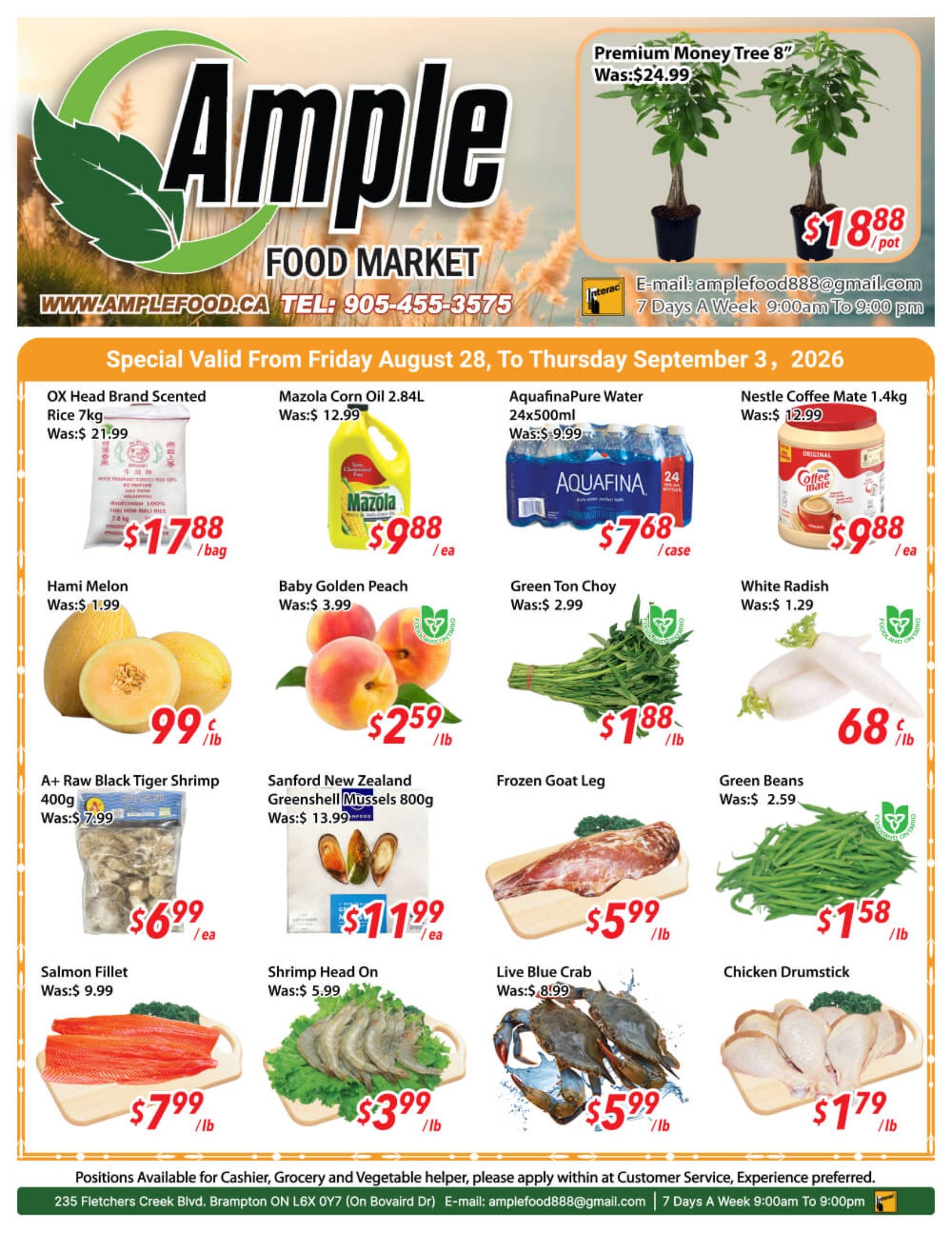 Ample Food Market (Brampton) Flyer August 28 to September 3