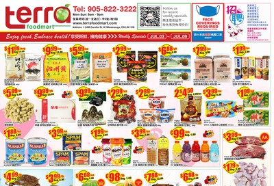 Terra Foodmart Flyer July 3 to 9
