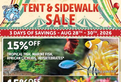Big Al's (Newmarket) Flyer August 28 to 30