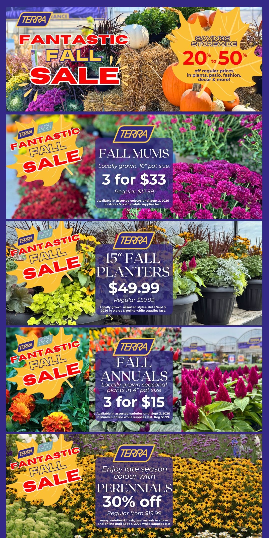 Terra Greenhouses Flyer August 28 to September 3