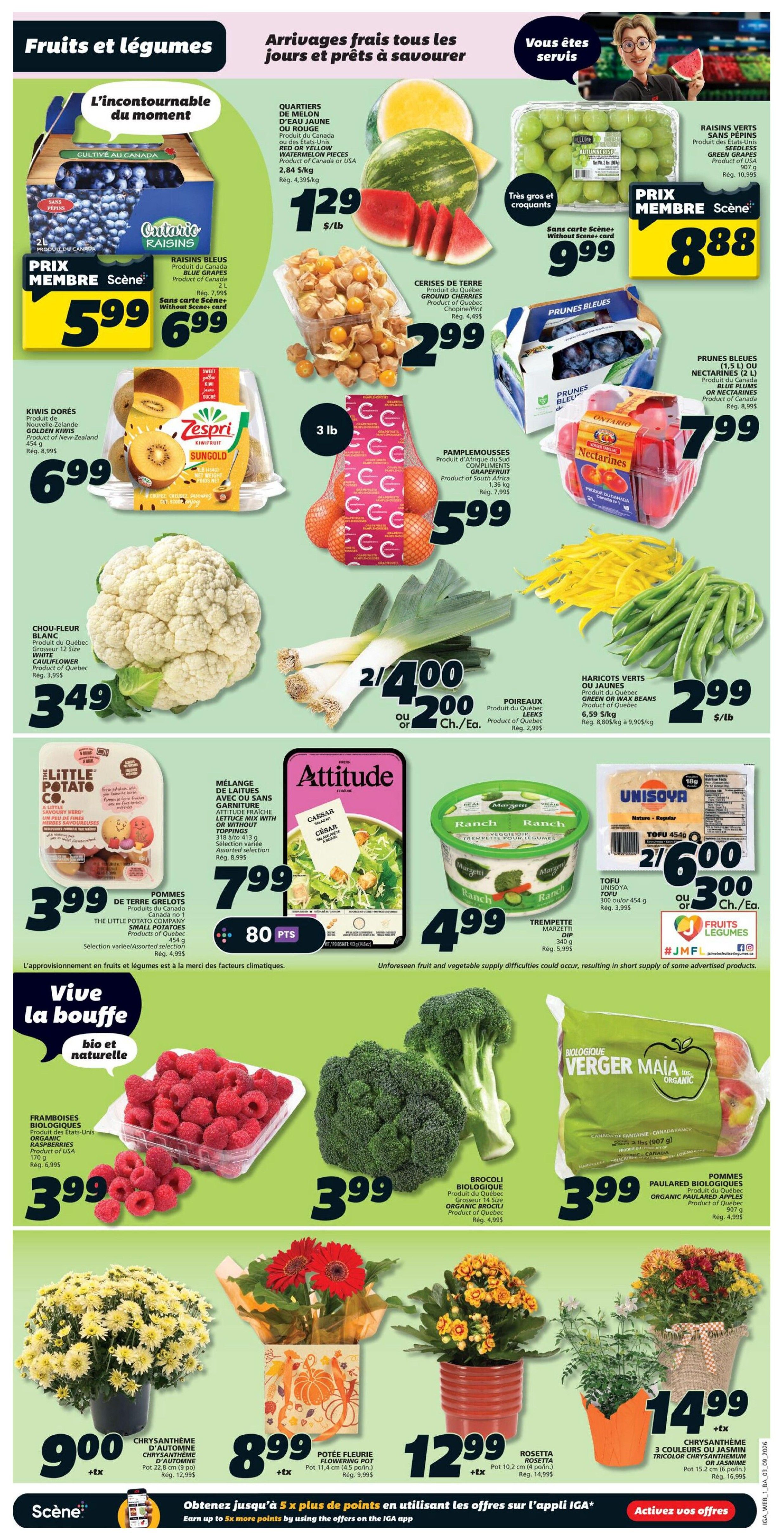 IGA (NB) Flyer September 3 to 9
