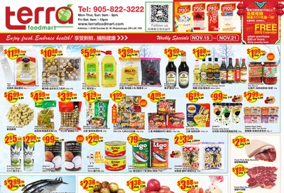 Terra Foodmart Flyer November 15 to 21
