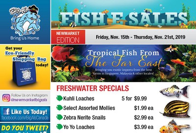 Big Al's (Newmarket) Weekly Specials November 15 to 21