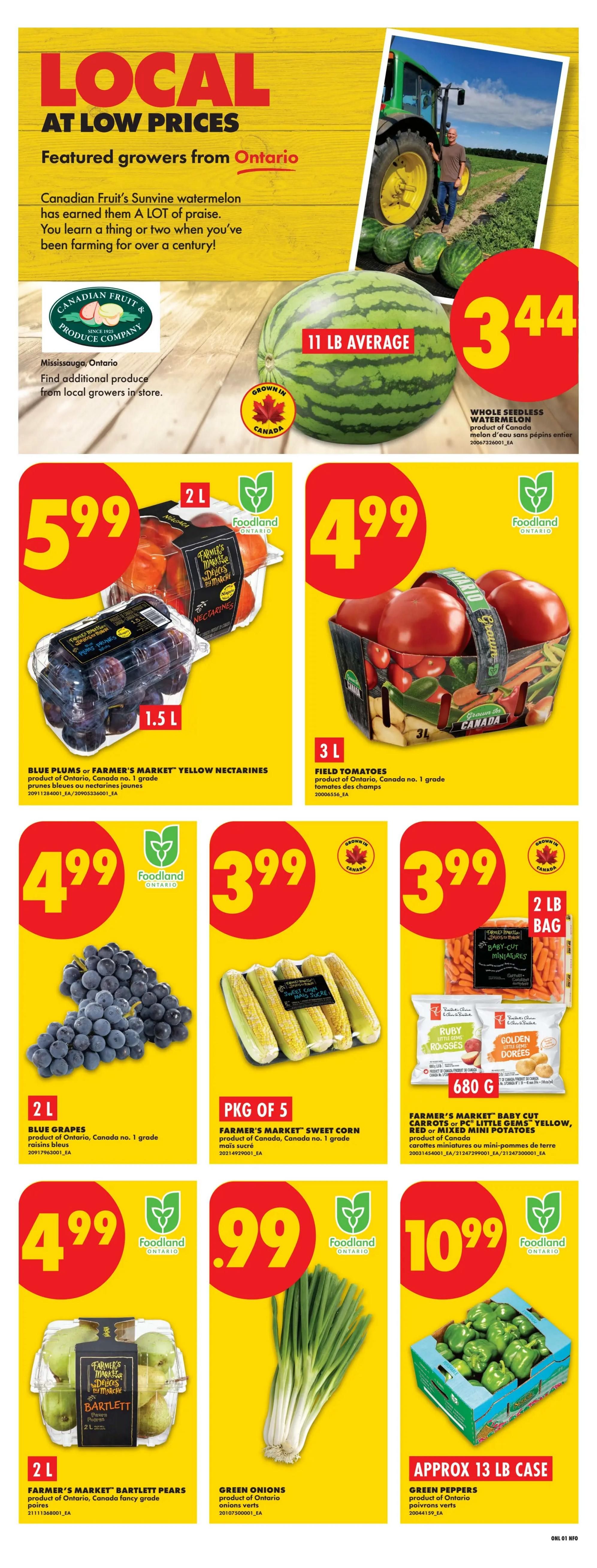 No Frills (GTA) Flyer September 3 to 9