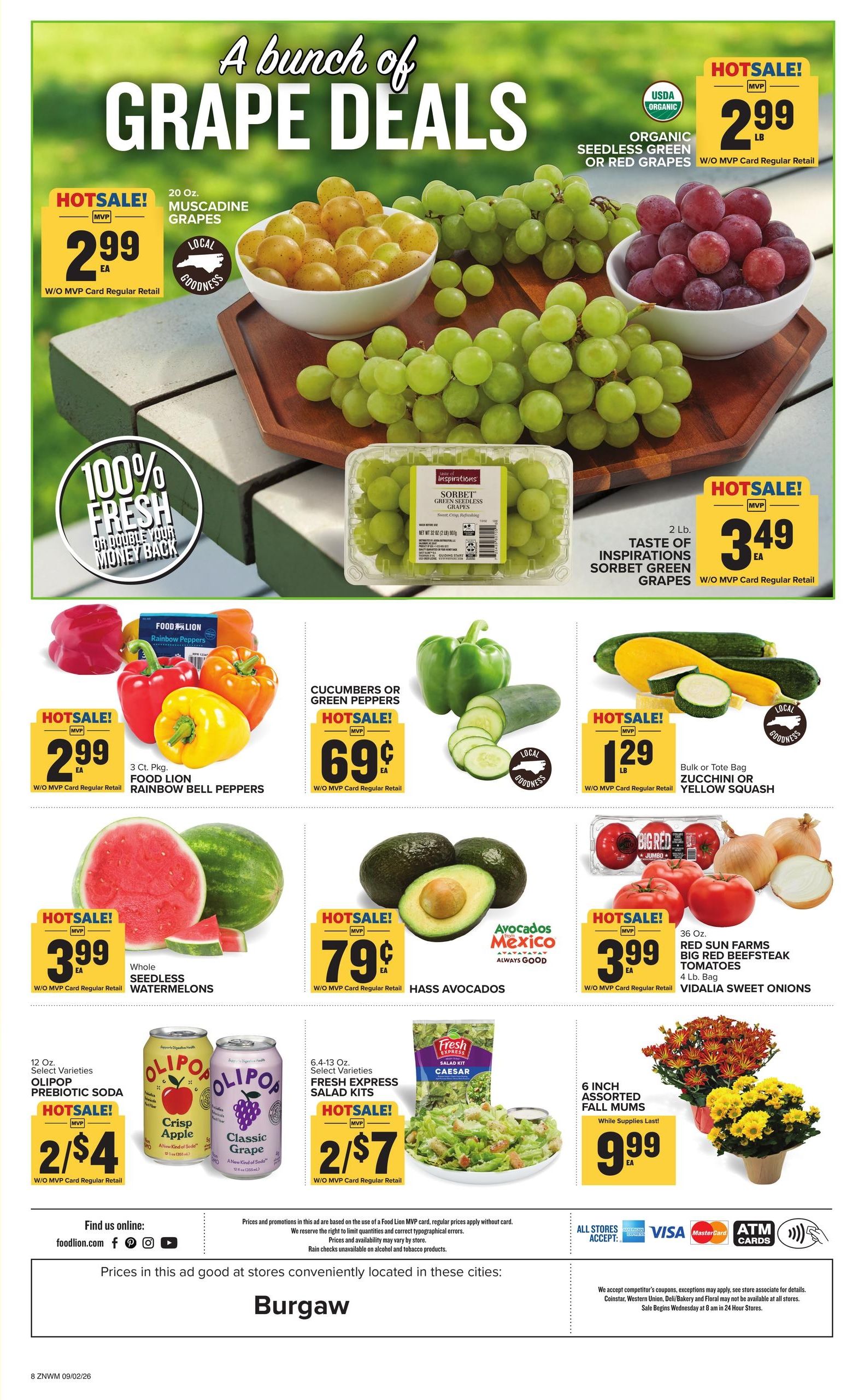 Food Lion (Burgaw Area, NC) Weekly Ad September 2 - 8, 2026