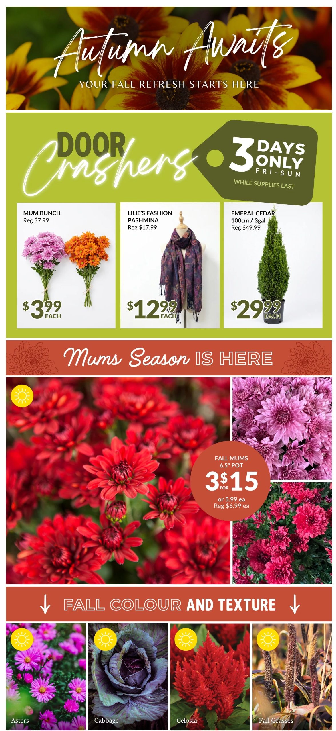 Lakeside Garden Gallery Flyer September 4 to 10
