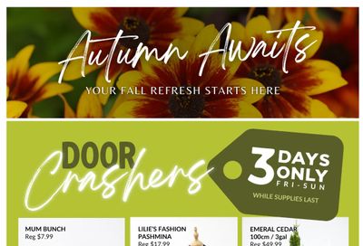 Lakeside Garden Gallery Flyer September 4 to 10