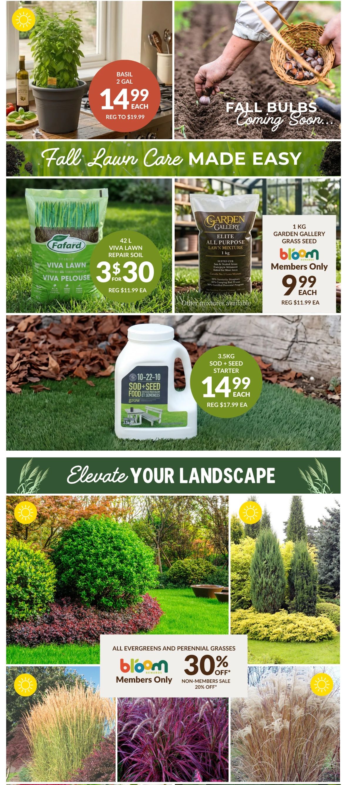Lakeside Garden Gallery Flyer September 4 to 10
