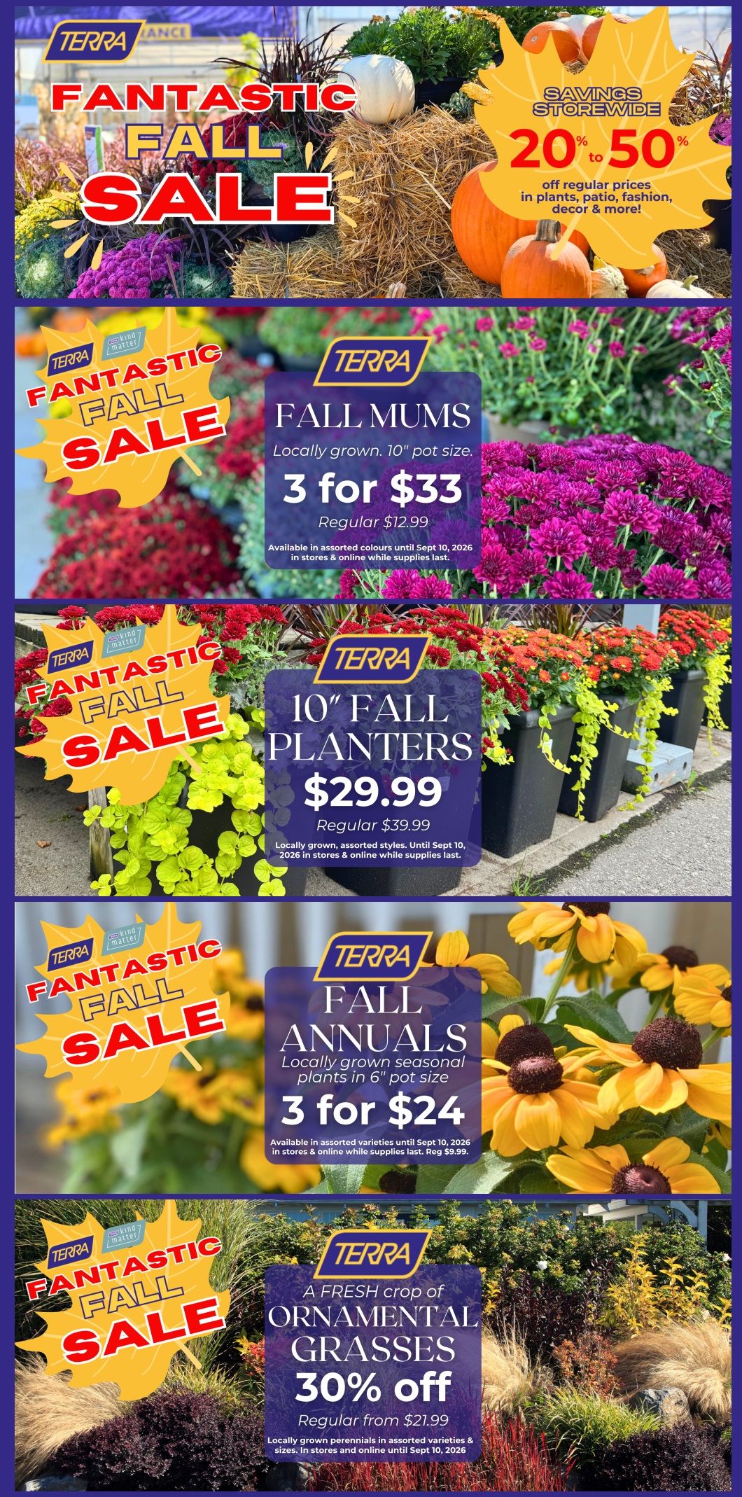 Terra Greenhouses Flyer September 4 to 10