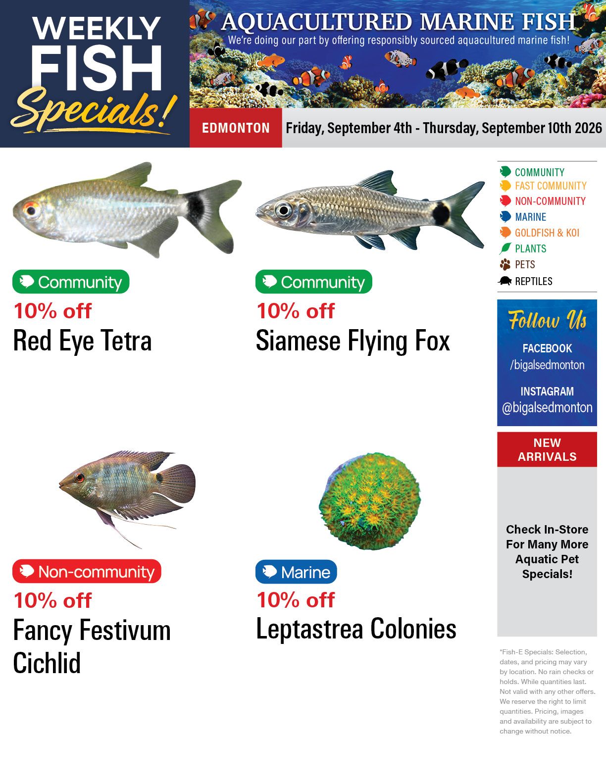Big Al's (Edmonton) Weekly Specials September 4 to 10