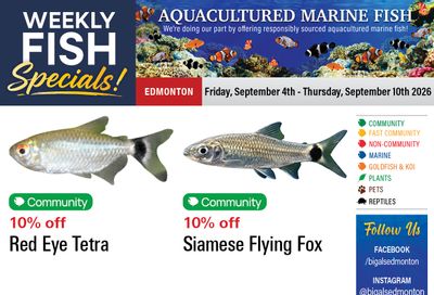 Big Al's (Edmonton) Weekly Specials September 4 to 10