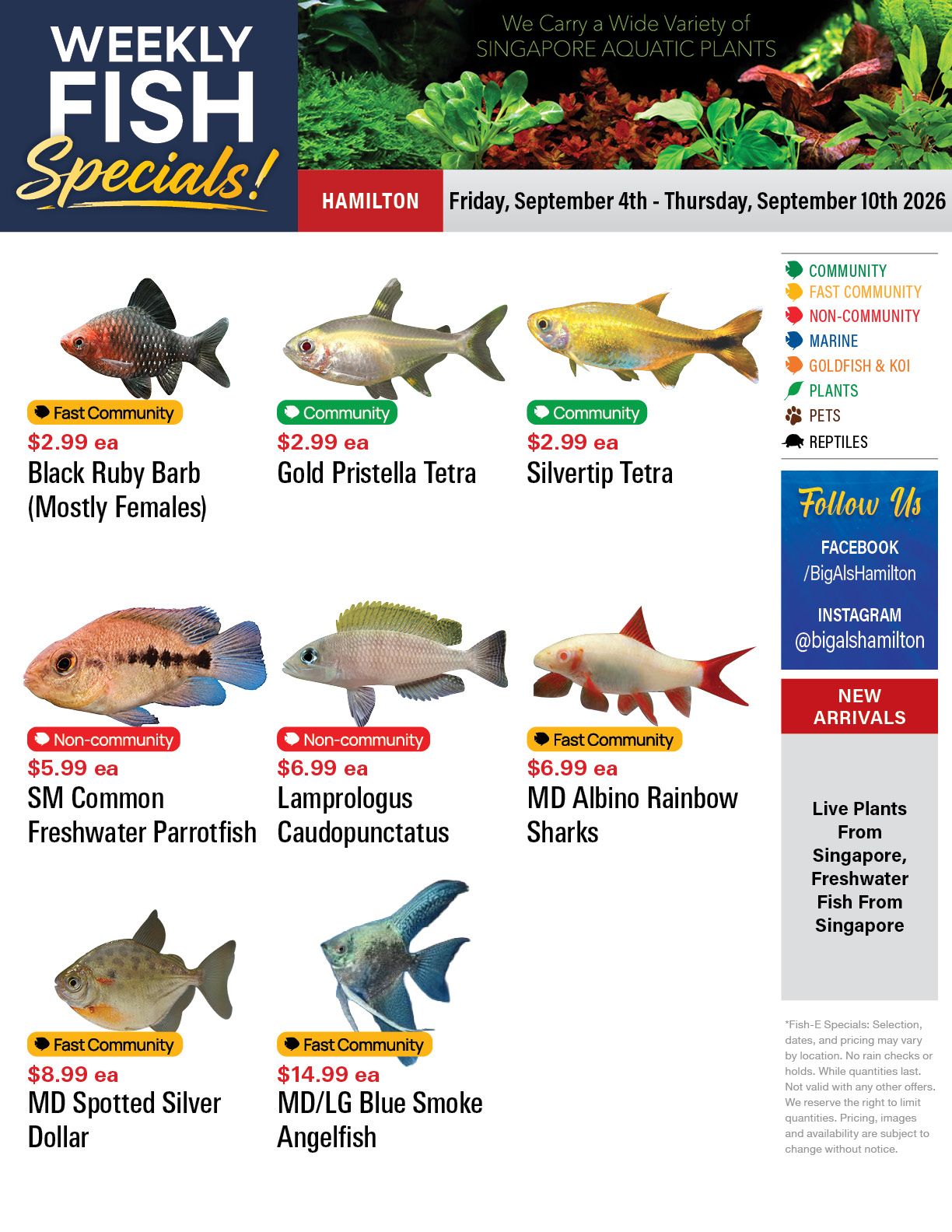 Big Al's (Hamilton) Weekly Specials September 4 to 10