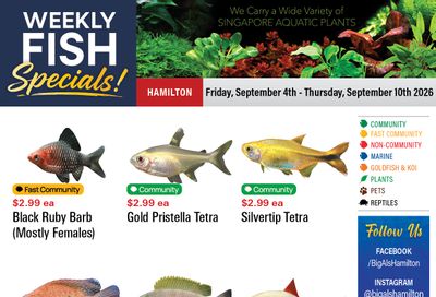 Big Al's (Hamilton) Weekly Specials September 4 to 10