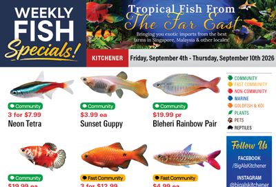 Big Al's (Kitchener) Weekly Specials September 4 to 10