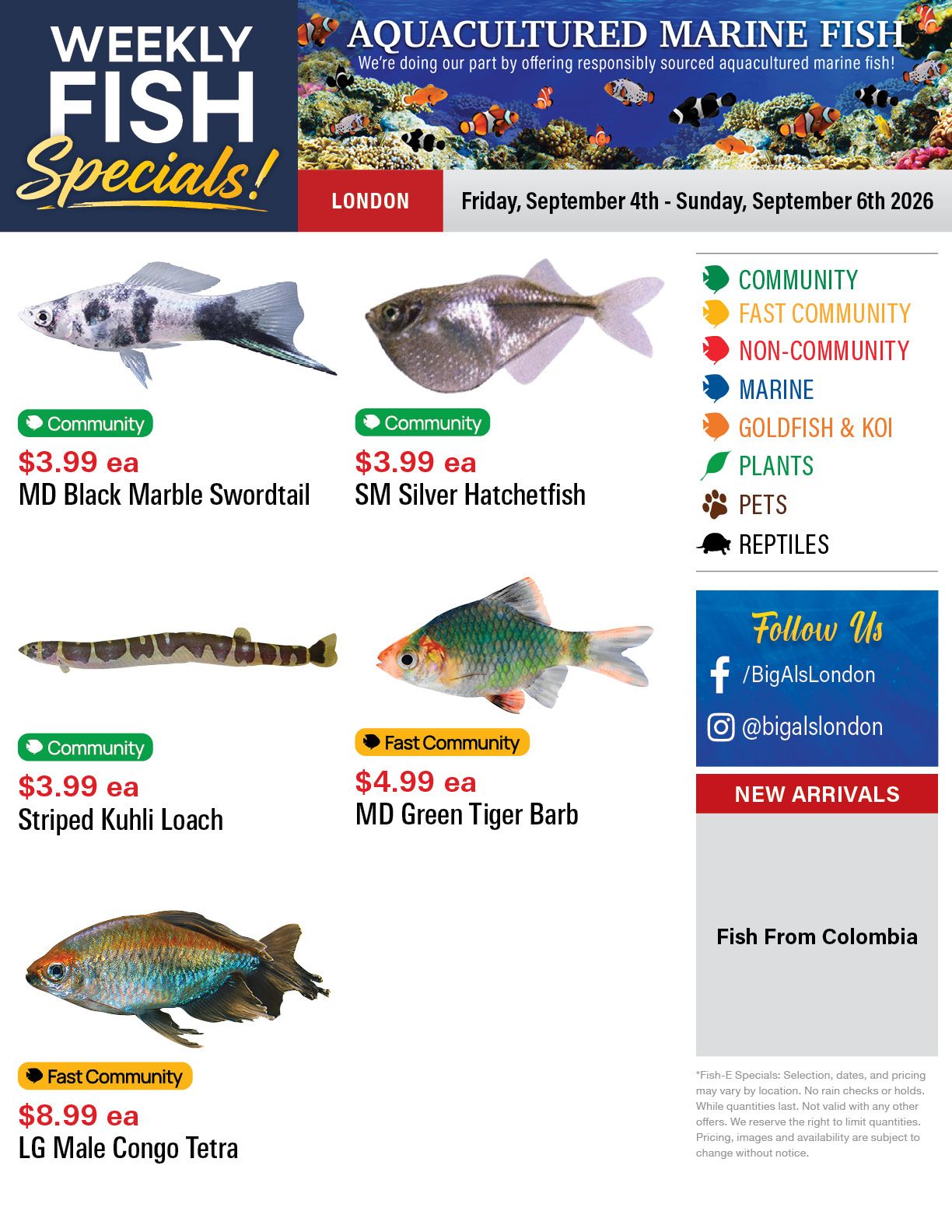 Big Al's (London) Weekend Specials September 4 to 6