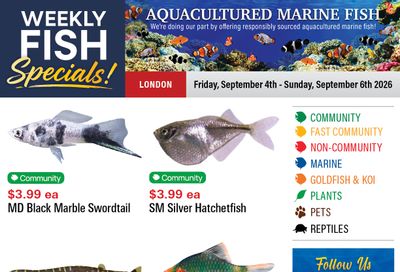 Big Al's (London) Weekend Specials September 4 to 6