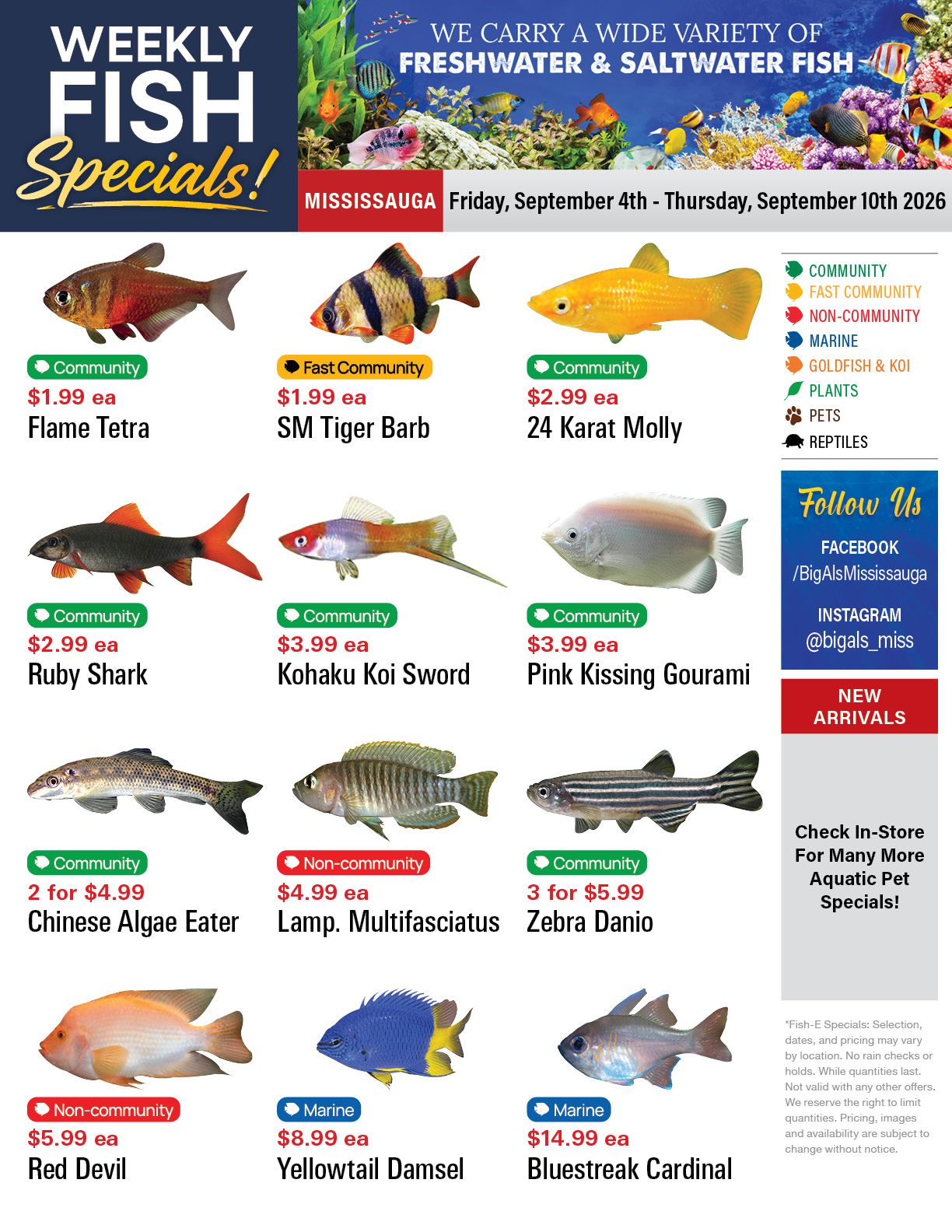 Big Al's (Mississauga) Weekly Specials September 4 to 10
