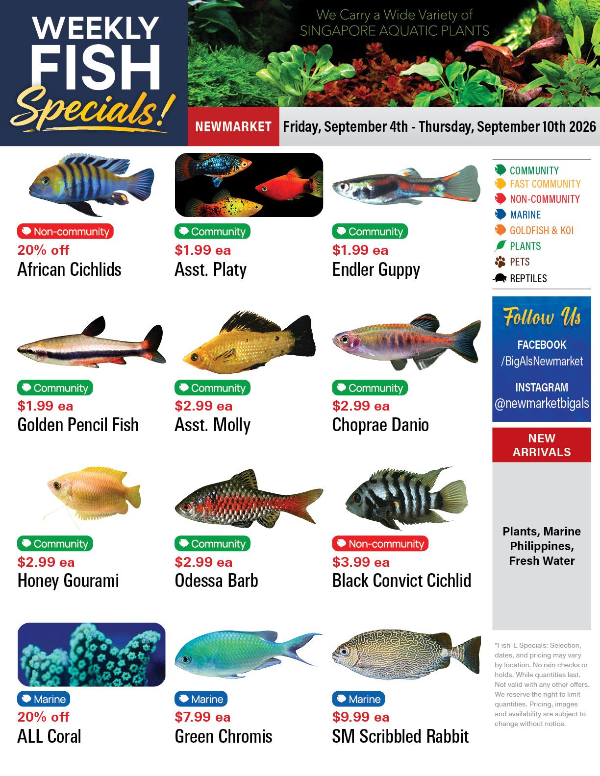 Big Al's (Newmarket) Weekly Specials September 4 to 10