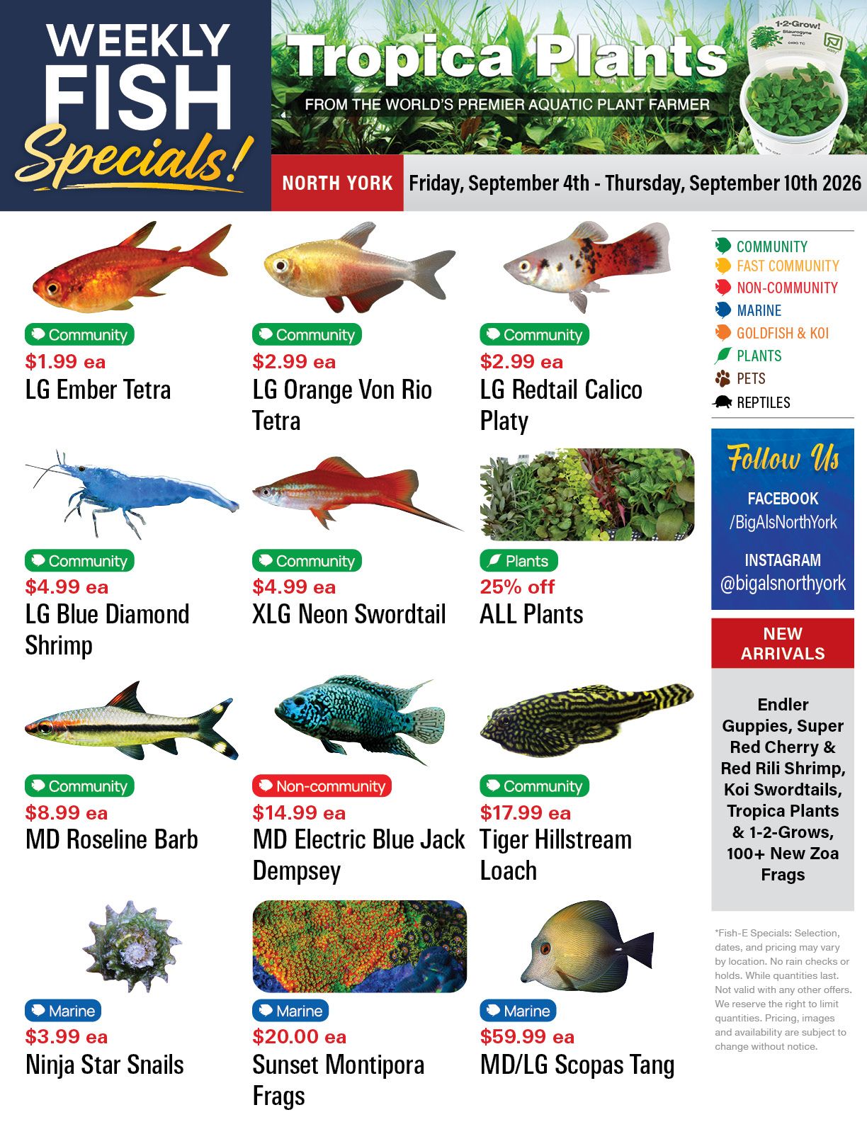 Big Al's (North York) Weekly Specials September 4 to 10