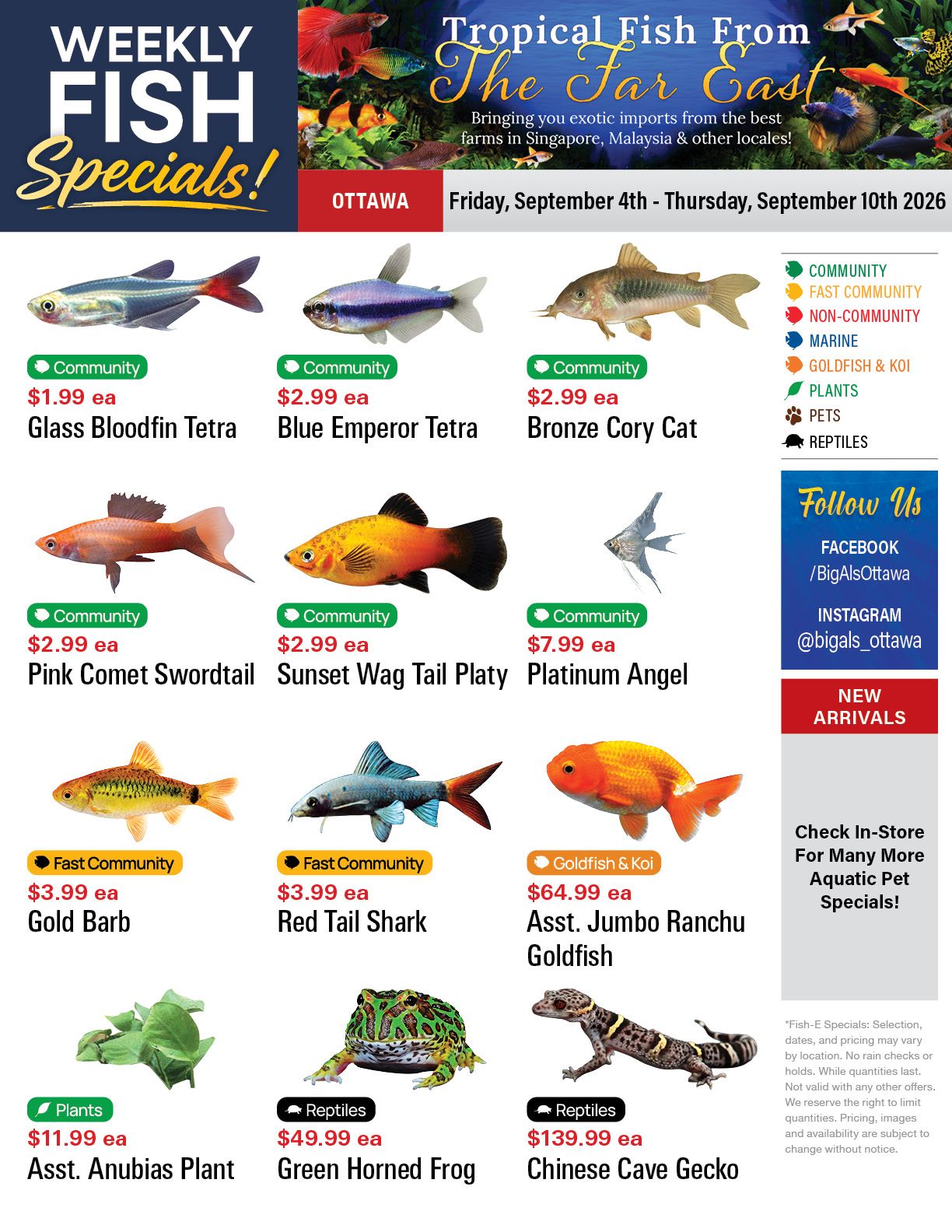Big Al's (Ottawa) Weekly Specials September 4 to 10