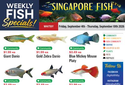 Big Al's (Whitby) Weekly Specials September 4 to 10