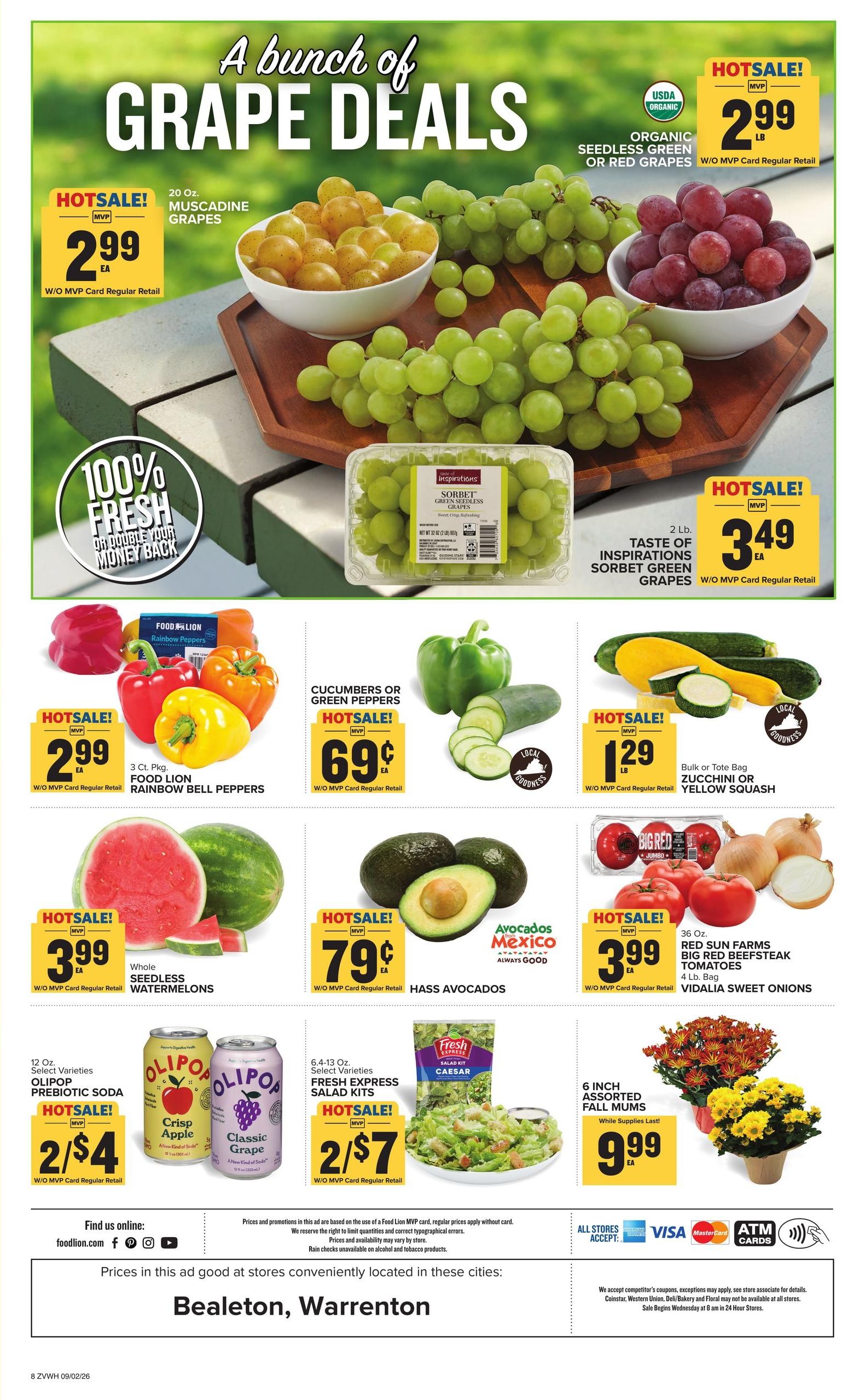 Food Lion (Somerville Area, VA) Weekly Ad September 2 - 8, 2026