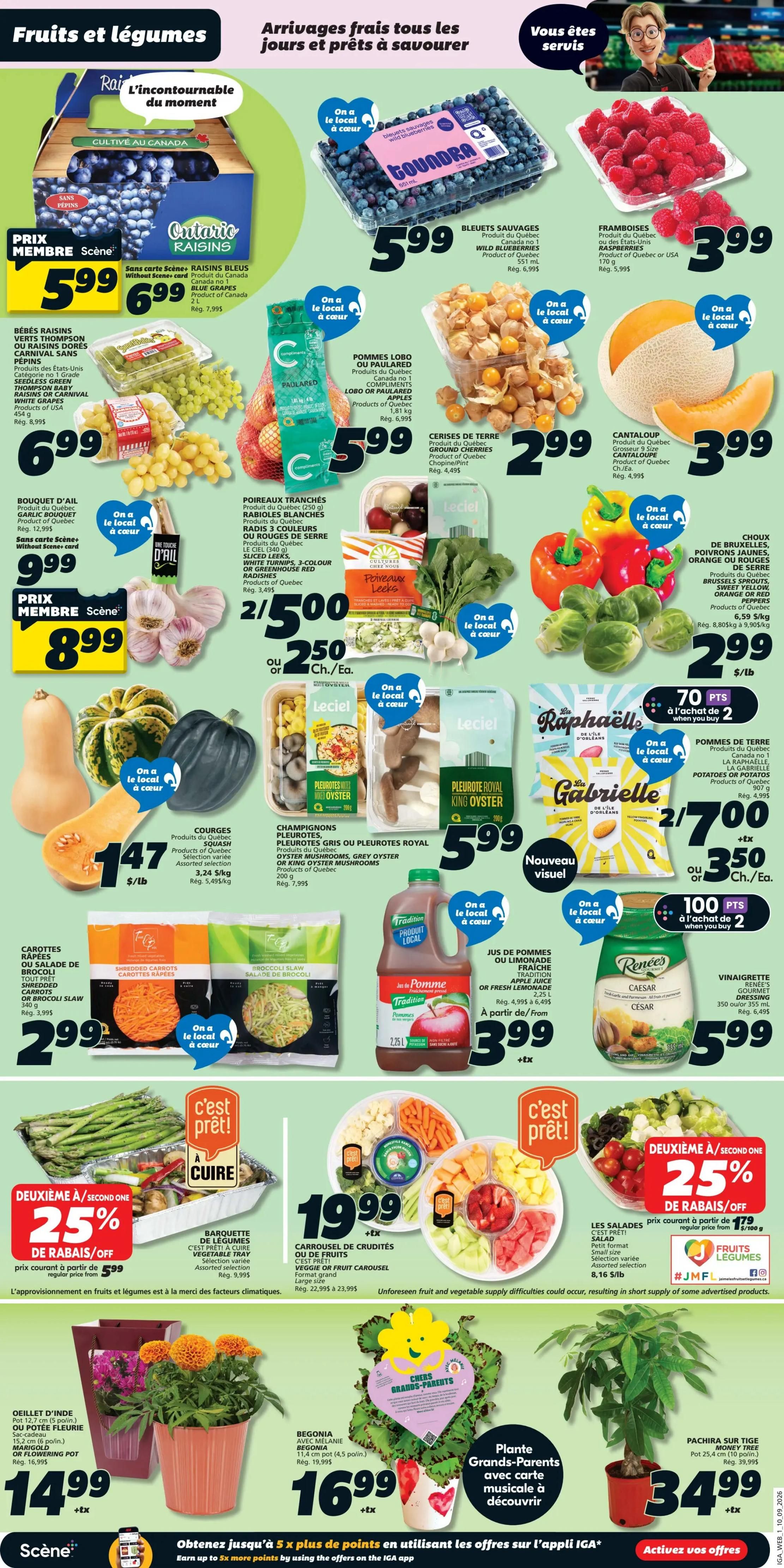 IGA (QC) Flyer September 10 to 16