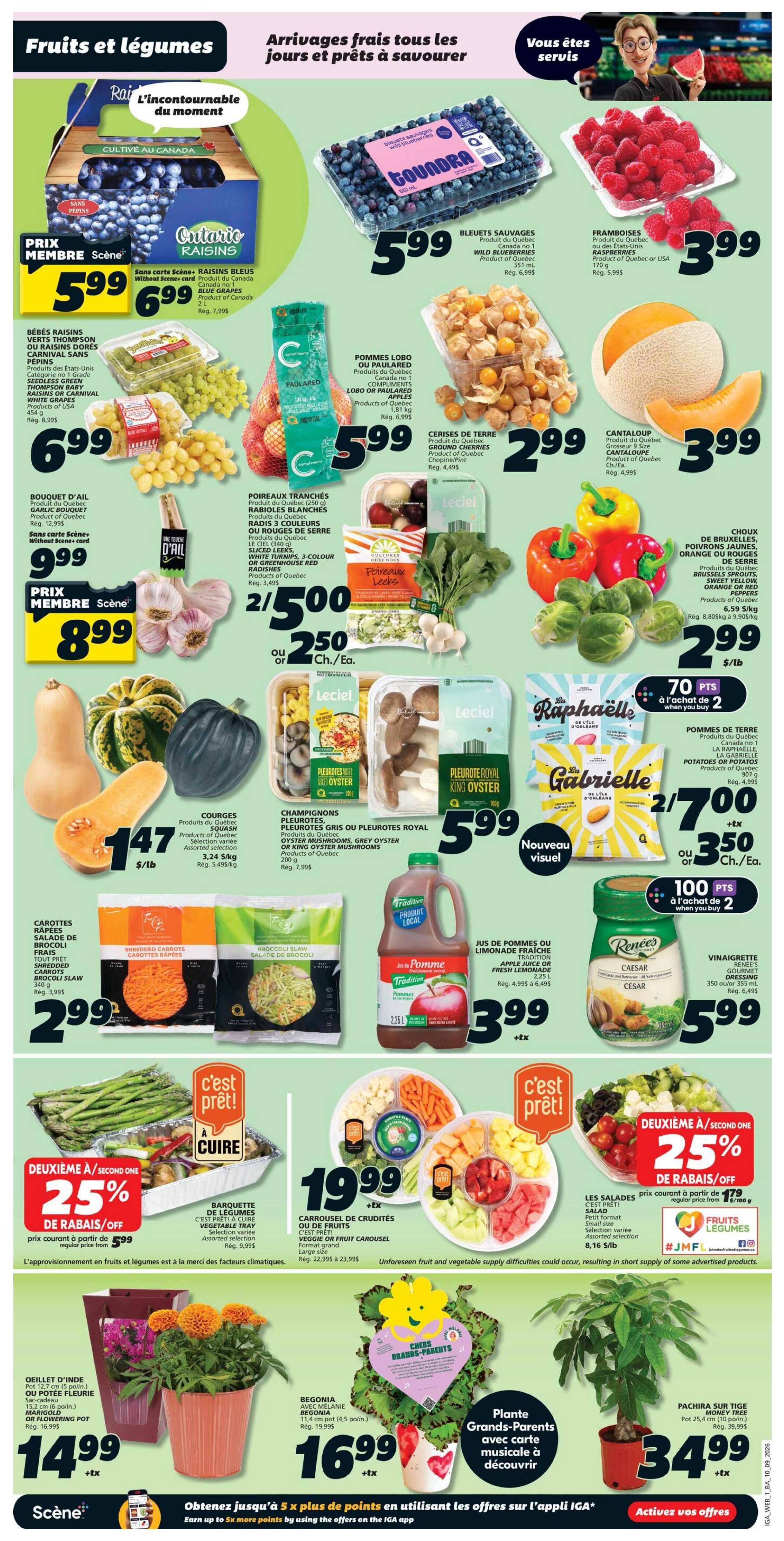 IGA (NB) Flyer September 10 to 16