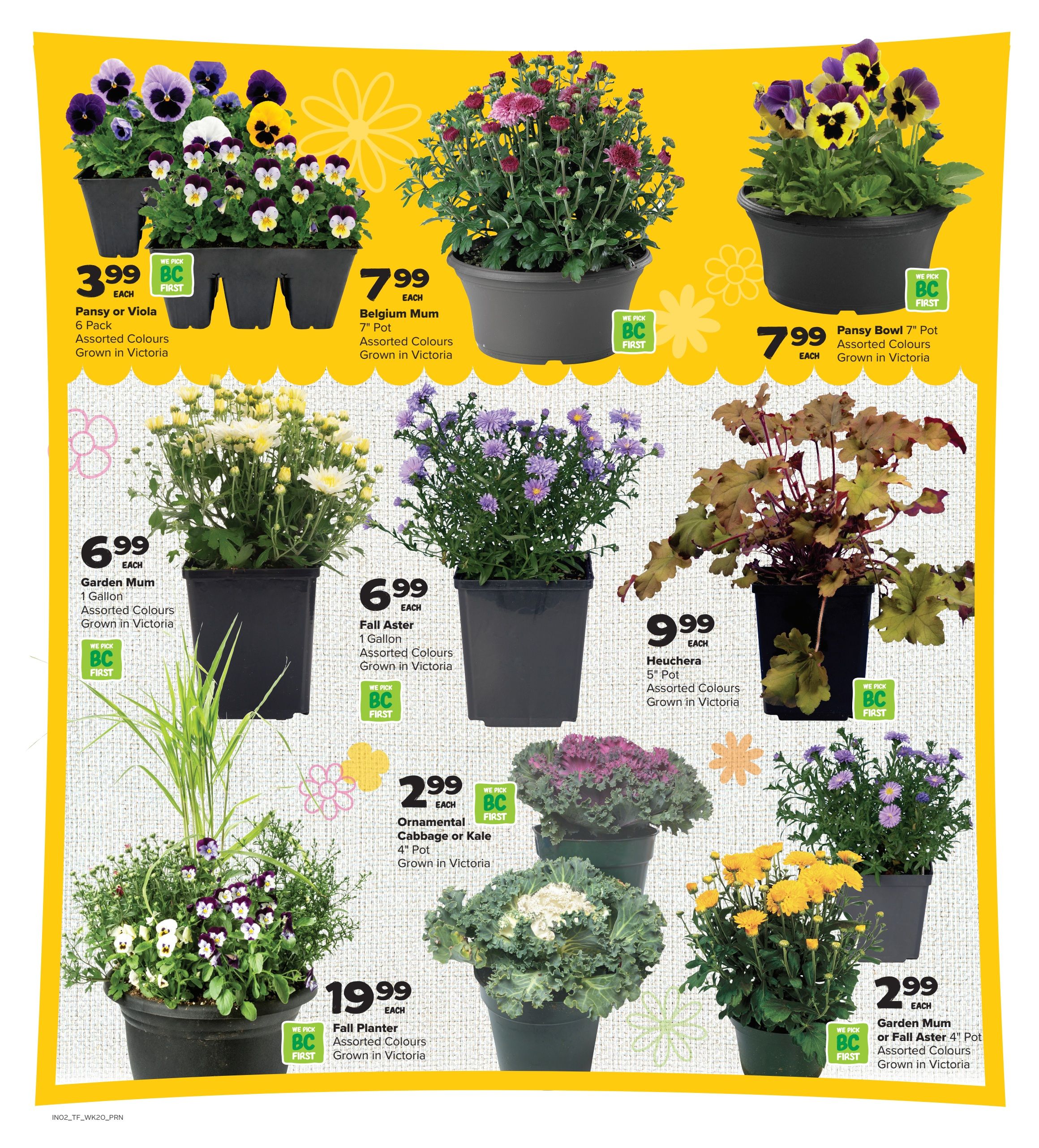 Thrifty Foods Flyer September 10 to 16