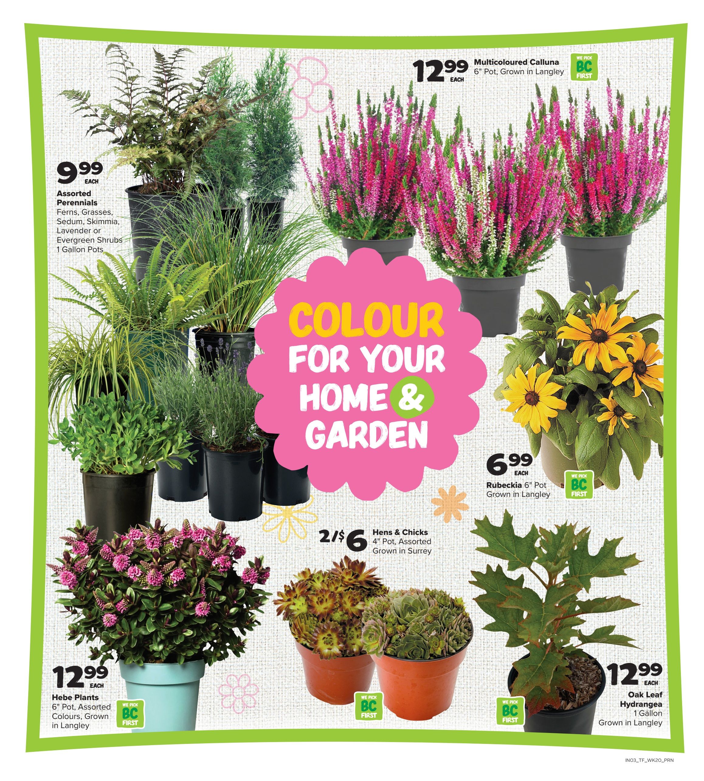 Thrifty Foods Flyer September 10 to 16