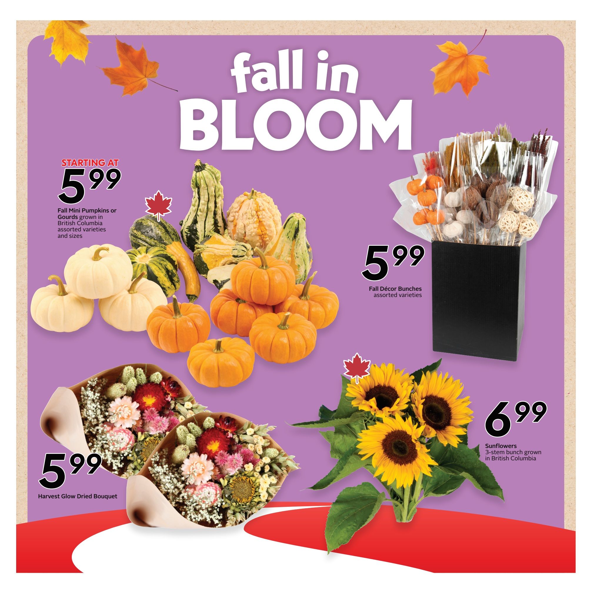 Sobeys/Safeway (AB) Flyer September 10 to 16