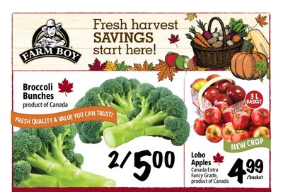 Farm Boy Flyer September 10 to 16