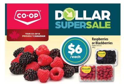 Co-op (West) Food Store Flyer September 10 to 16