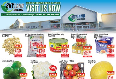 Skyland Food Mart Flyer July 10 to 16
