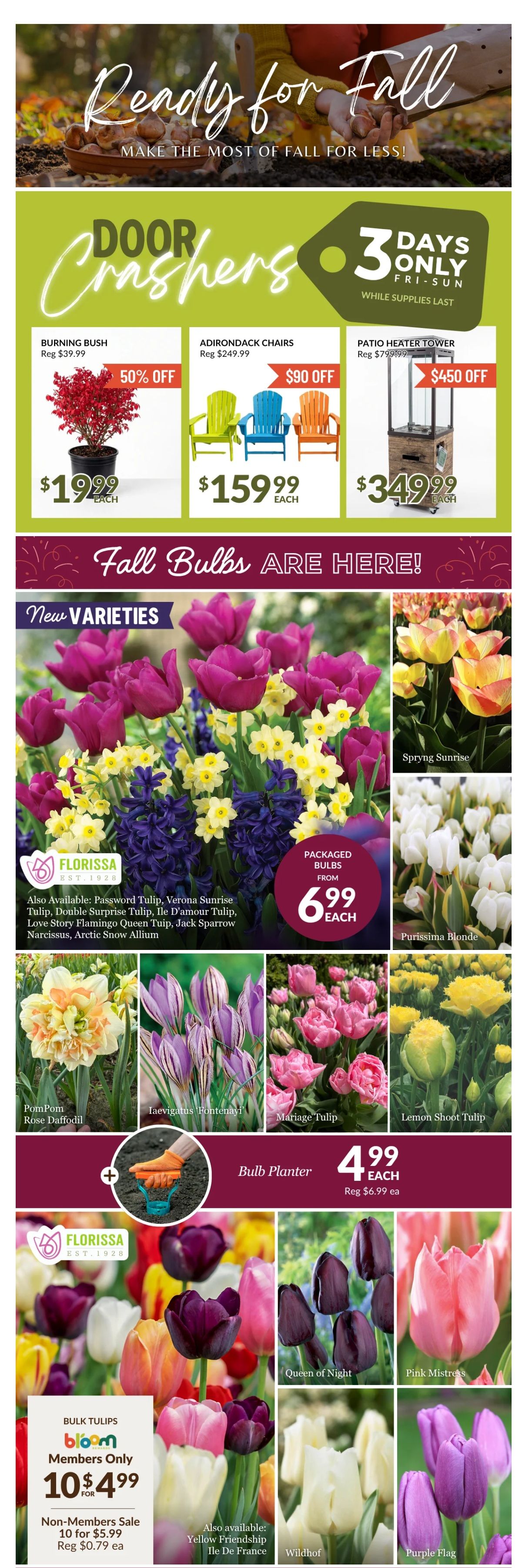 Lakeside Garden Gallery Flyer September 11 to 17